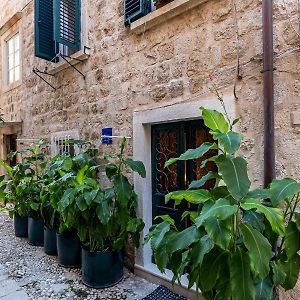B&B Buza House